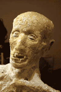 Adding the Elemental's skin