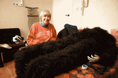 Lizzie sews the Elemental fur