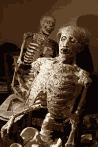 Corpses almost ready for wardrobe